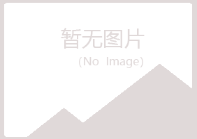 银川西夏向珊能源有限公司